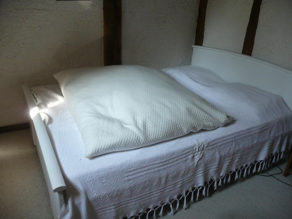Gite De La Ronceraie Chaumont-sur-Loire Zimmer foto